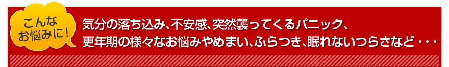 こんなお悩みに！気分の落ち込み、不安感、突然襲ってくるパニック、更年期の様々なお悩みやめまい、ふらつき、眠れないつらさなど・・・